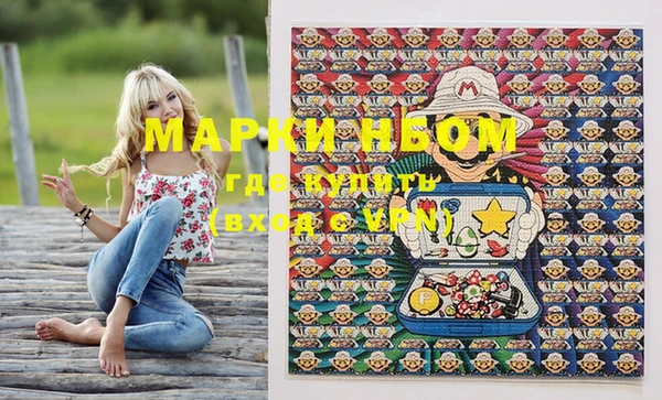 ПСИЛОЦИБИНОВЫЕ ГРИБЫ Осинники