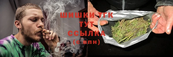 ПСИЛОЦИБИНОВЫЕ ГРИБЫ Осинники