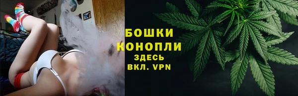 ПСИЛОЦИБИНОВЫЕ ГРИБЫ Осинники