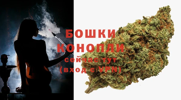 прущая мука Щигры