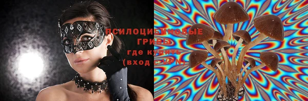 ПСИЛОЦИБИНОВЫЕ ГРИБЫ Осинники