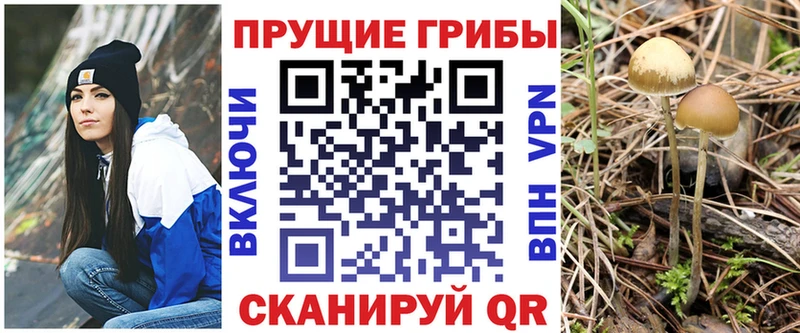 где купить наркоту  kraken ONION  Галлюциногенные грибы Psilocybine cubensis  Инсар 